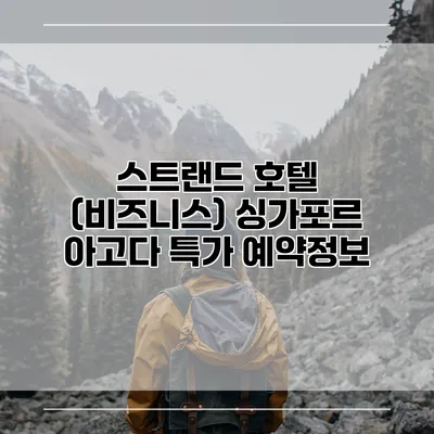 스트랜드 호텔 (비즈니스) 싱가포르 아고다 특가 예약정보