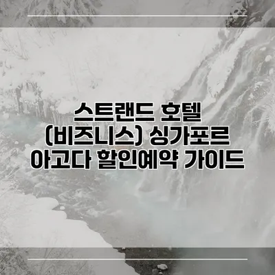 스트랜드 호텔 (비즈니스) 싱가포르 아고다 할인예약 가이드
