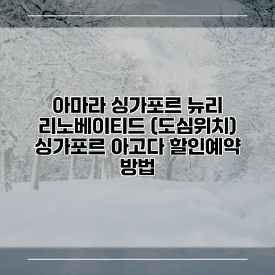 아마라 싱가포르 뉴리 리노베이티드 (도심위치) 싱가포르 아고다 할인예약 방법
