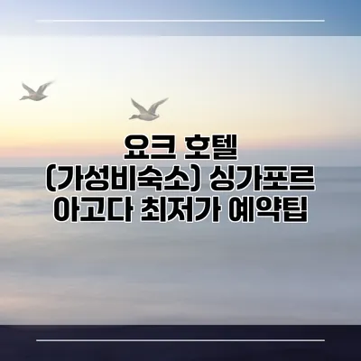 요크 호텔 (가성비숙소) 싱가포르 아고다 최저가 예약팁