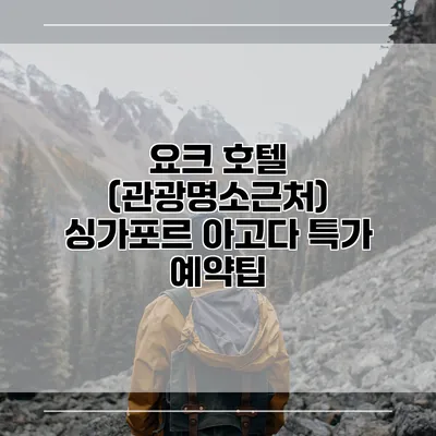 요크 호텔 (관광명소근처) 싱가포르 아고다 특가 예약팁