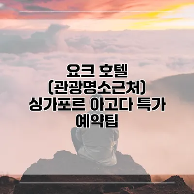 요크 호텔 (관광명소근처) 싱가포르 아고다 특가 예약팁