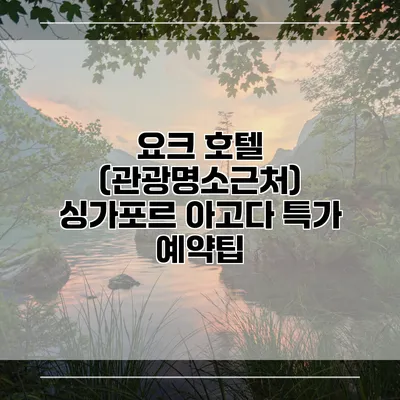 요크 호텔 (관광명소근처) 싱가포르 아고다 특가 예약팁