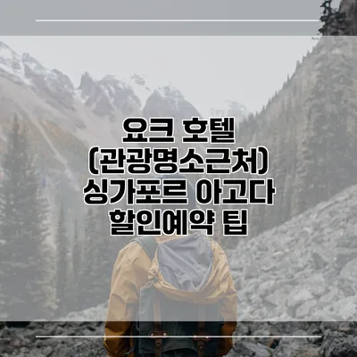 요크 호텔 (관광명소근처) 싱가포르 아고다 할인예약 팁