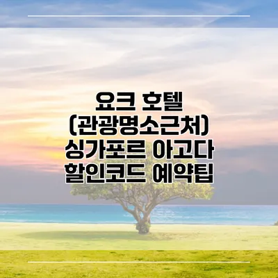 요크 호텔 (관광명소근처) 싱가포르 아고다 할인코드 예약팁