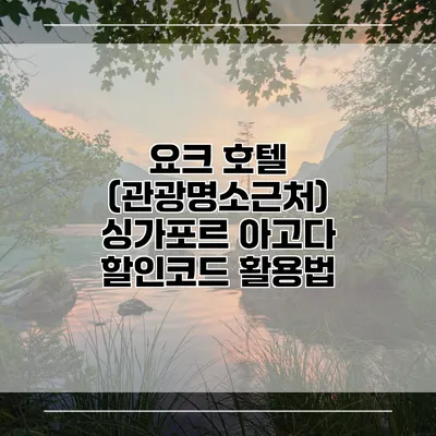 요크 호텔 (관광명소근처) 싱가포르 아고다 할인코드 활용법