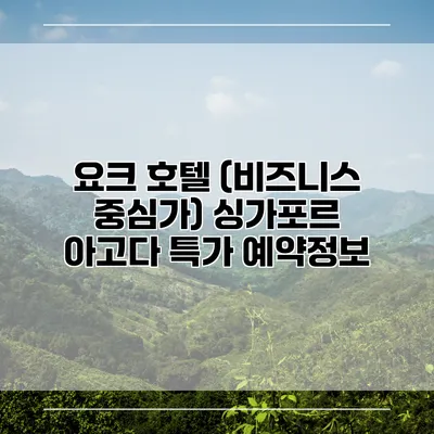요크 호텔 (비즈니스 중심가) 싱가포르 아고다 특가 예약정보