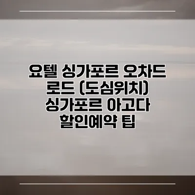 요텔 싱가포르 오차드 로드 (도심위치) 싱가포르 아고다 할인예약 팁