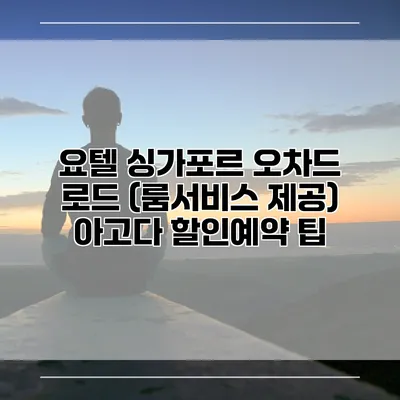 요텔 싱가포르 오차드 로드 (룸서비스 제공) 아고다 할인예약 팁