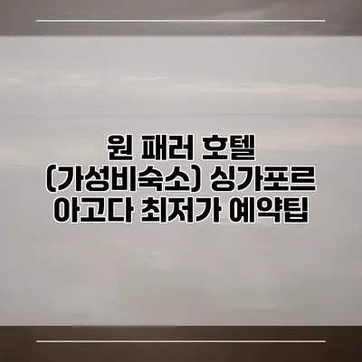원 패러 호텔 (가성비숙소) 싱가포르 아고다 최저가 예약팁