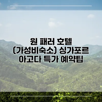 원 패러 호텔 (가성비숙소) 싱가포르 아고다 특가 예약팁