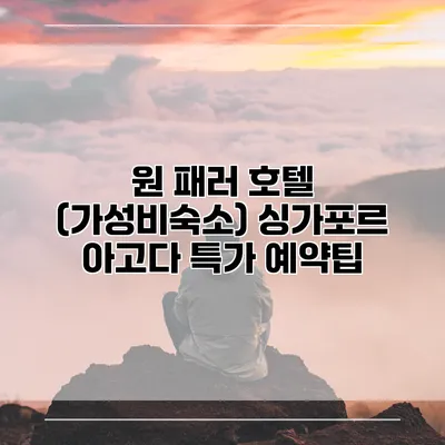 원 패러 호텔 (가성비숙소) 싱가포르 아고다 특가 예약팁