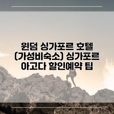 윈덤 싱가포르 호텔 (가성비숙소) 싱가포르 아고다 할인예약 팁