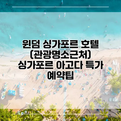 윈덤 싱가포르 호텔 (관광명소근처) 싱가포르 아고다 특가 예약팁