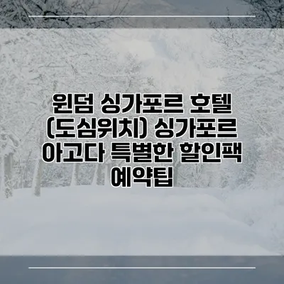 윈덤 싱가포르 호텔 (도심위치) 싱가포르 아고다 특별한 할인팩 예약팁