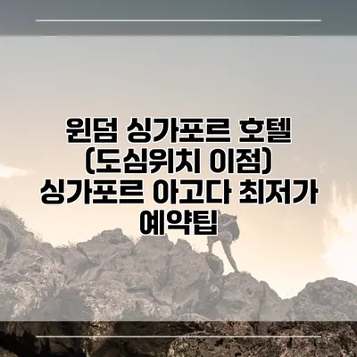 윈덤 싱가포르 호텔 (도심위치 이점) 싱가포르 아고다 최저가 예약팁