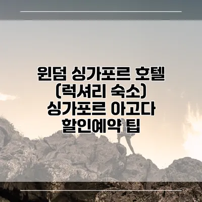 윈덤 싱가포르 호텔 (럭셔리 숙소) 싱가포르 아고다 할인예약 팁