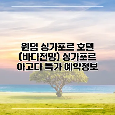 윈덤 싱가포르 호텔 (바다전망) 싱가포르 아고다 특가 예약정보