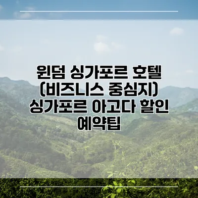 윈덤 싱가포르 호텔 (비즈니스 중심지) 싱가포르 아고다 할인 예약팁