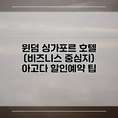 윈덤 싱가포르 호텔 (비즈니스 중심지) 아고다 할인예약 팁