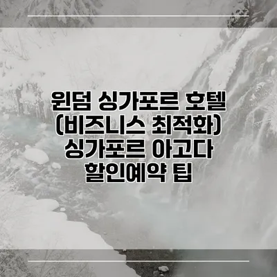 윈덤 싱가포르 호텔 (비즈니스 최적화) 싱가포르 아고다 할인예약 팁