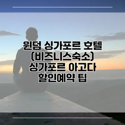 윈덤 싱가포르 호텔 (비즈니스숙소) 싱가포르 아고다 할인예약 팁