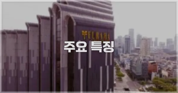 ✨ 주요 특징