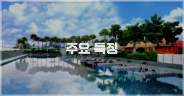 ✨ 주요 특징