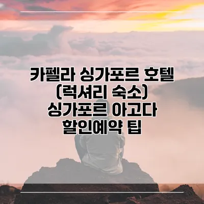 카펠라 싱가포르 호텔 (럭셔리 숙소) 싱가포르 아고다 할인예약 팁