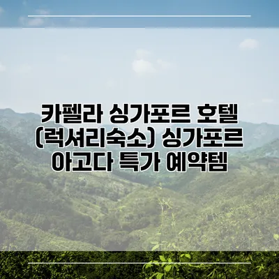 카펠라 싱가포르 호텔 (럭셔리숙소) 싱가포르 아고다 특가 예약템