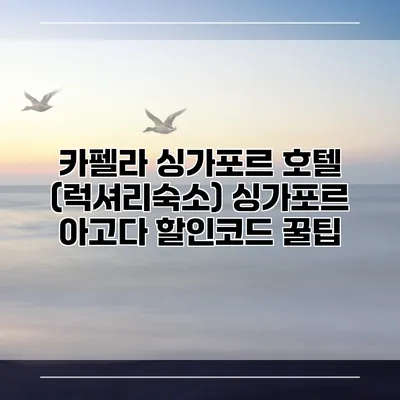 카펠라 싱가포르 호텔 (럭셔리숙소) 싱가포르 아고다 할인코드 꿀팁