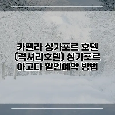 카펠라 싱가포르 호텔 (럭셔리호텔) 싱가포르 아고다 할인예약 방법