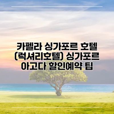 카펠라 싱가포르 호텔 (럭셔리호텔) 싱가포르 아고다 할인예약 팁