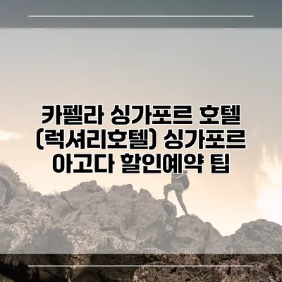 카펠라 싱가포르 호텔 (럭셔리호텔) 싱가포르 아고다 할인예약 팁