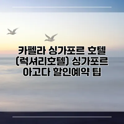 카펠라 싱가포르 호텔 (럭셔리호텔) 싱가포르 아고다 할인예약 팁