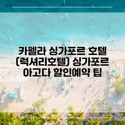 카펠라 싱가포르 호텔 (럭셔리호텔) 싱가포르 아고다 할인예약 팁