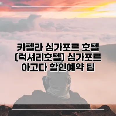 카펠라 싱가포르 호텔 (럭셔리호텔) 싱가포르 아고다 할인예약 팁