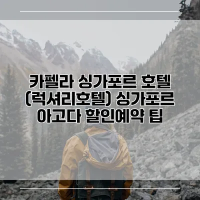 카펠라 싱가포르 호텔 (럭셔리호텔) 싱가포르 아고다 할인예약 팁