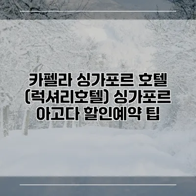 카펠라 싱가포르 호텔 (럭셔리호텔) 싱가포르 아고다 할인예약 팁
