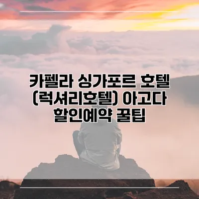 카펠라 싱가포르 호텔 (럭셔리호텔) 아고다 할인예약 꿀팁