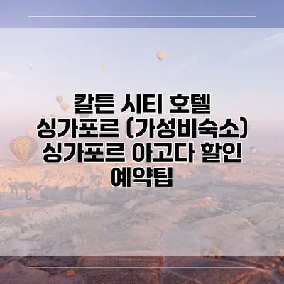 칼튼 시티 호텔 싱가포르 (가성비숙소) 싱가포르 아고다 할인 예약팁