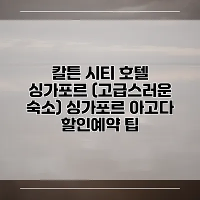 칼튼 시티 호텔 싱가포르 (고급스러운 숙소) 싱가포르 아고다 할인예약 팁