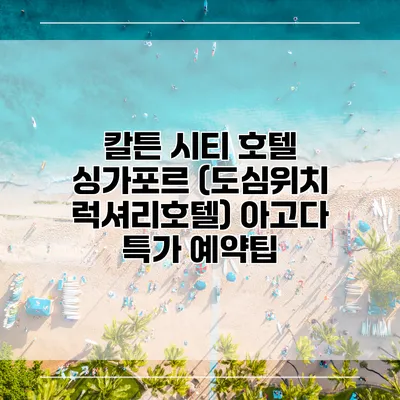 칼튼 시티 호텔 싱가포르 (도심위치 럭셔리호텔) 아고다 특가 예약팁