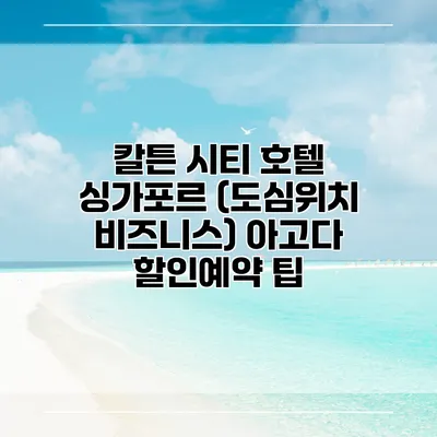 칼튼 시티 호텔 싱가포르 (도심위치 비즈니스) 아고다 할인예약 팁