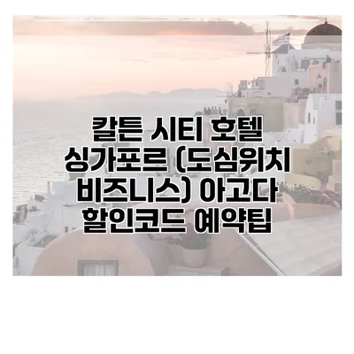 칼튼 시티 호텔 싱가포르 (도심위치 비즈니스) 아고다 할인코드 예약팁