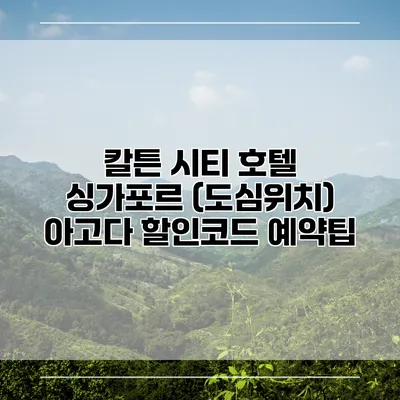칼튼 시티 호텔 싱가포르 (도심위치) 아고다 할인코드 예약팁