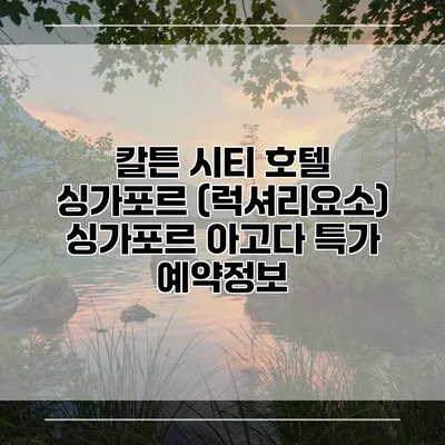 칼튼 시티 호텔 싱가포르 (럭셔리요소) 싱가포르 아고다 특가 예약정보
