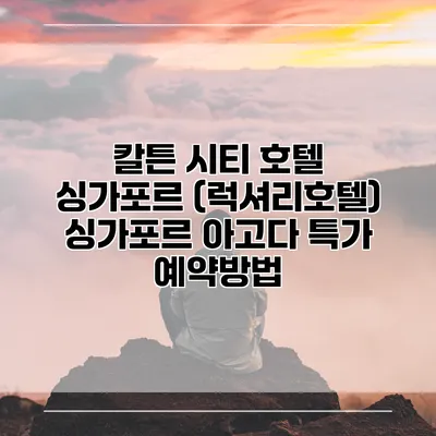 칼튼 시티 호텔 싱가포르 (럭셔리호텔) 싱가포르 아고다 특가 예약방법