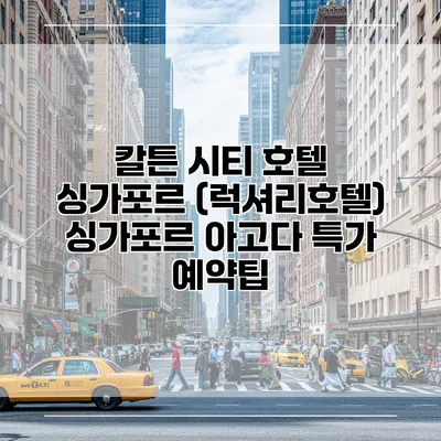 칼튼 시티 호텔 싱가포르 (럭셔리호텔) 싱가포르 아고다 특가 예약팁