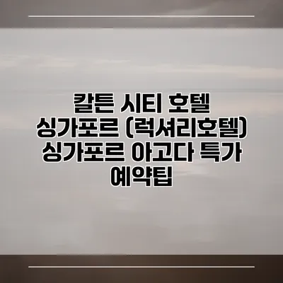 칼튼 시티 호텔 싱가포르 (럭셔리호텔) 싱가포르 아고다 특가 예약팁